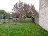 Jardin.jpg